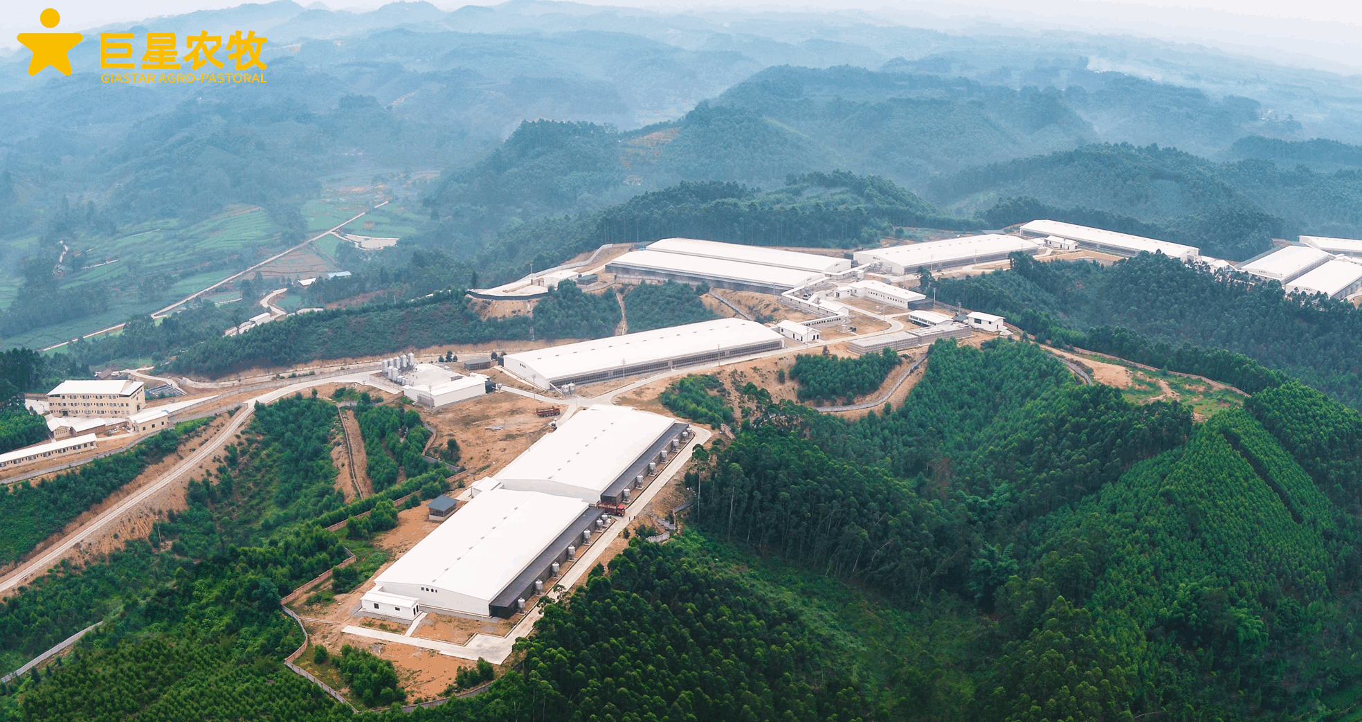 QQ截图20250811120722